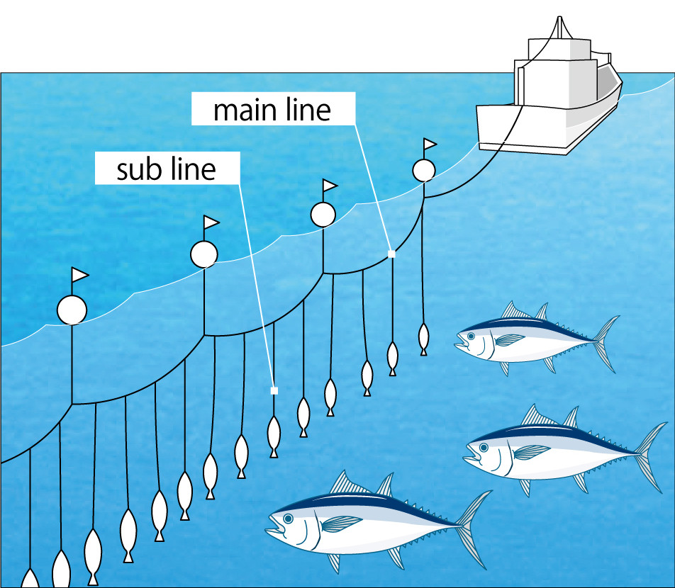 Tuna long line fishery